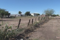 Piden vecinos de colonia Nueva Ejidal de culiacancito agua potable y drenaje