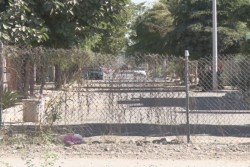 Inspección y vigilancia levanta acta por cierre de calles en fracc. Campo Bello