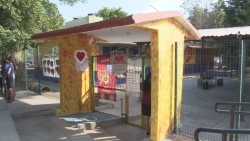 Piden maestra de grupo de preescolar.