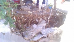 Arroyo peligroso en la Guadalupe Victoria