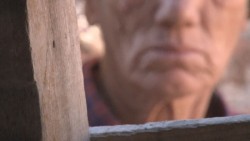 Josefina vence el miedo pide la custodia de sus nietos