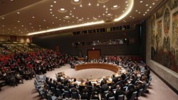 Consejo de Seguridad de la ONU apoya cese al fuego en Ucrania