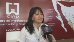 Cambio climatico genera plagas en cultivos sinaloeses