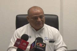 Garantizado el abasto de camarón para Cuaresma