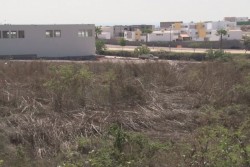 En riesgo viviendas de la Progreso por lote baldio
