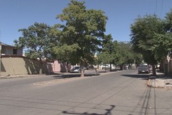Reportan falta de alumbrado en la calle Obrero Mundial, en Infonavit Humaya