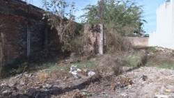 Denuncia vecina de la colonia Emiliano Zapata lote baldío que genera infecciones entre los habitantes de las viviendas aledañas.