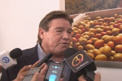 Reducción de bases busca la venta total de la cosecha de maiz