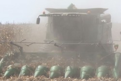 Sin agricultura por contrato no habrá apoyos federales