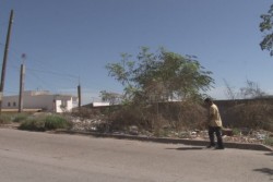 Piden que limpien lote baldio