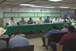 Condiciona Malova apoyo a maiceros, si dejan manifestaciones