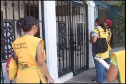 Chikungunya enciende focos rojos en el Sector Salud.
