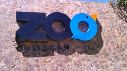 Zoológico de Culiacán, buscará animales que dejen circos