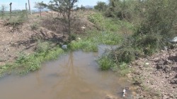 Piden ayuda de las autoridades por inundaciones en Aguacaliente