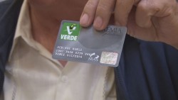Llegan a Sinaloa tarjetas del PVEM