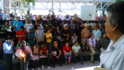 Llena la USE de contribuyentes