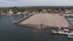 Excelente periodo de Semana Santa para marisqueros de Altata