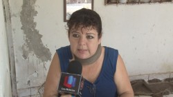 La atropellan y el responsable no se hace cargo del tratamiento