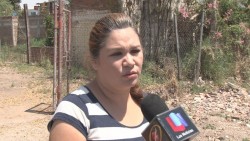 Urge limpieza de terrenos baldios en colonia almada