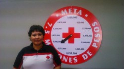 Cruz Roja lejos de lograr la meta
