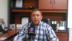 Es obligación de SAGARPA atender quejas de presencia de abejas en centros poblados