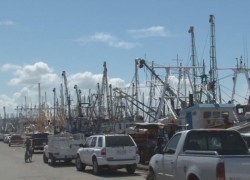 Crítica la situación actual de los pescadores.
