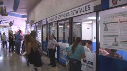 Con suficiente material para expedir licencias en modulos