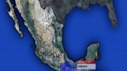 Saldo blanco tras sismo de 4.8 grados en Oaxaca