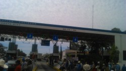 Productores cumplen amenaza