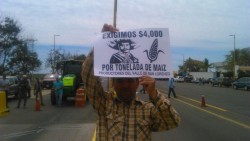 Productores agrícolas inconformes con la negociación, de 3 mil 300 pesos por tonelada de maíz