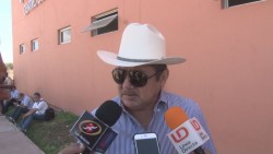 Prioridad el repoblamiento para hatos afectados por la Tuberculosis