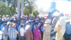 Se requiere de unidad para emcabezar la reformar de fondo para el campo