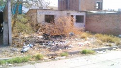 Piden se atienda la solicitud de limpieza de lote baldío