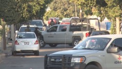 Asegura la Marina un narcolaboratorio en La Cruz de Elota