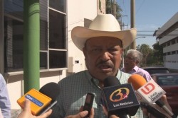 Aplicarán sanciones a productores que dejen predios con socas