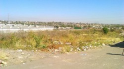 Falta de limpieza en lote baldío en Fraccionamiento Prados del Sol