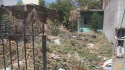 Solicitan al ayuntamiento limpieza de lote baldío  en colonia Los Pinos
