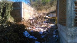 Exigen limpieza de terrenos baldíos en Colonia 10 de Mayo