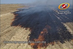Aplican sanciones por quema de gavilla