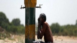 Las altas temperaturas en la India han dejado 2 mil muertos