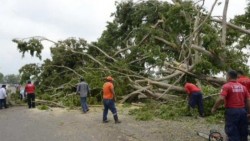Vientos de hasta 100 kms/hora derriban árboles y techos en Tabasco