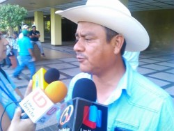 Solicitan la intervención de PROFECO para operativo en bodegas