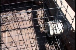 A mas tardar mañana podría quedar restablecido el servicio de agua en Mazatlán
