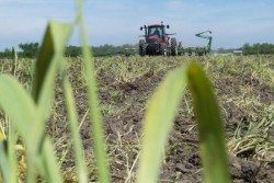 El programa Pro Agro Productivo sufrió modificaciones, informa la Sagarpa.