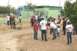 Canal 7 impulsa campaña de arborización en Mazatlán.