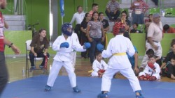 Celebran Estatal Selectivo de Karate Do en Sonora