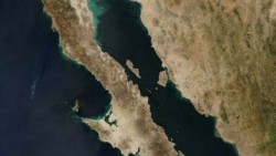 Incendio en asilo de ancianos deja 15 muertos en Mexicali