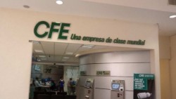 CFE incluye nuevos requisitos para compras y contrataciones