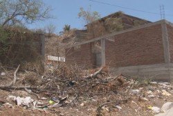 Piden limpieza en lotes baldíos en la colonia 10 de mayo