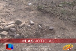 Mueren dos menores atropellados en carretera